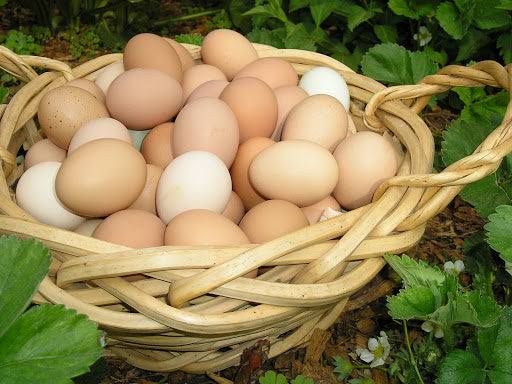 Desi eggs/meats